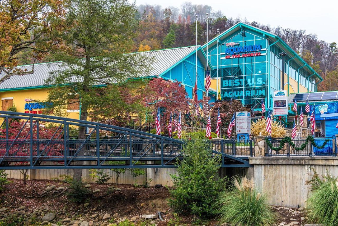Bear View Chalet, 3 Bedroom, Pool, Pets, Arcades, Wifi, Hot Tub, Sleeps 12 Gatlinburg Exterior foto
