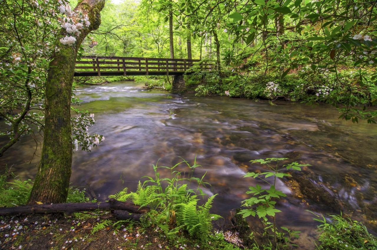Bear View Chalet, 3 Bedroom, Pool, Pets, Arcades, Wifi, Hot Tub, Sleeps 12 Gatlinburg Exterior foto